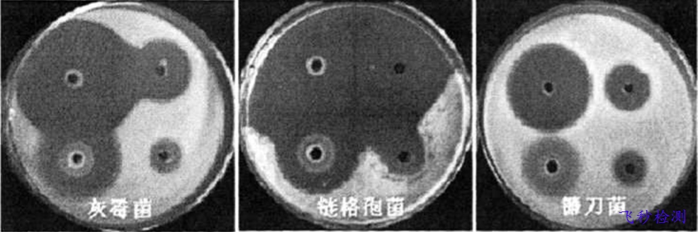 消毒液成分分析檢測 消毒液成分分析檢測